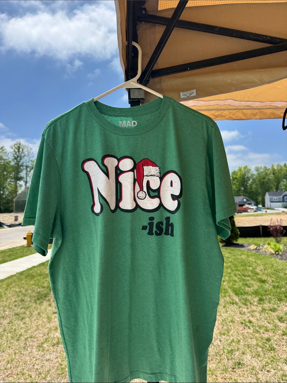 "Nice-ish" Graphic Tee in Green